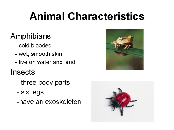 Animal Characteristics Amphibians - cold blooded - wet, smooth skin - live on water