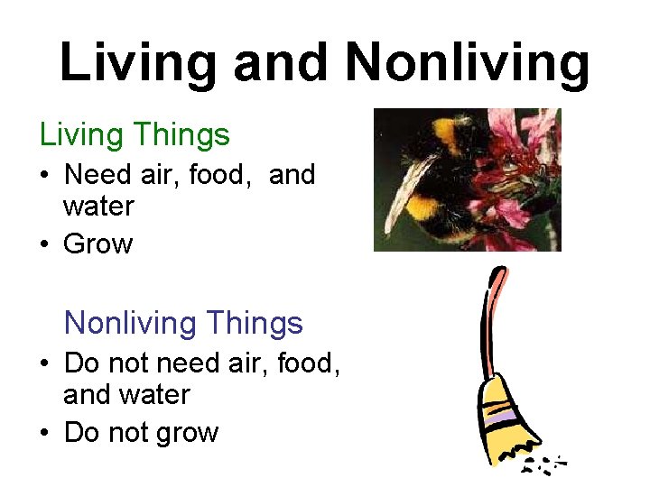 Living and Nonliving Living Things • Need air, food, and water • Grow Nonliving