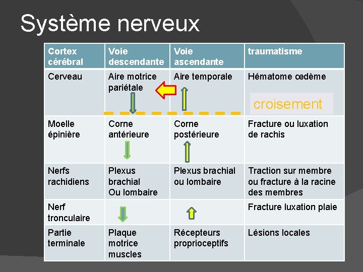 Système nerveux Cortex cérébral Voie descendante Voie ascendante traumatisme Cerveau Aire motrice pariétale Aire