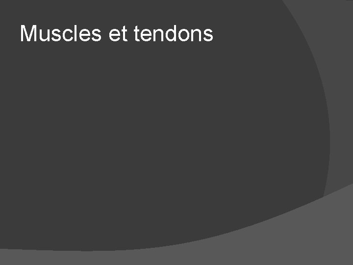 Muscles et tendons 