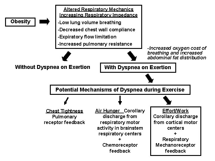 Altered Respiratory Mechanics Increasing Respiratory Impedance Obesity -Low lung volume breathing -Decreased chest wall