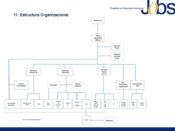 11. Estructura Organizacional 