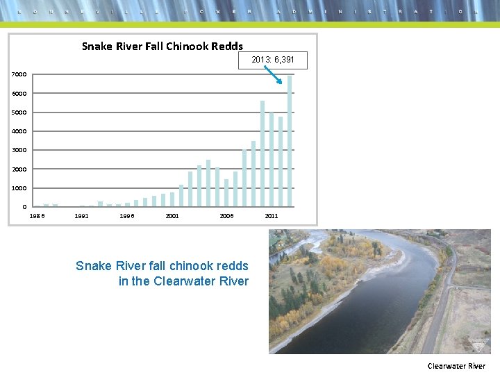 Snake River Fall Chinook Redds 2013: 6, 391 7000 6000 5000 4000 3000 2000