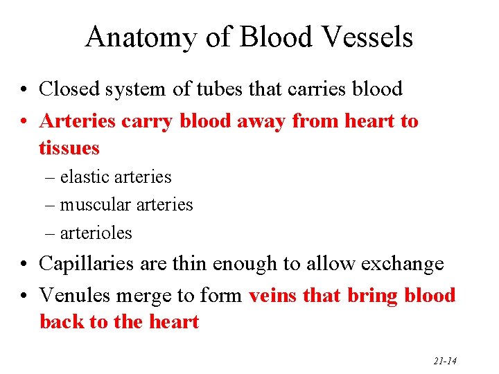 Anatomy of Blood Vessels • Closed system of tubes that carries blood • Arteries