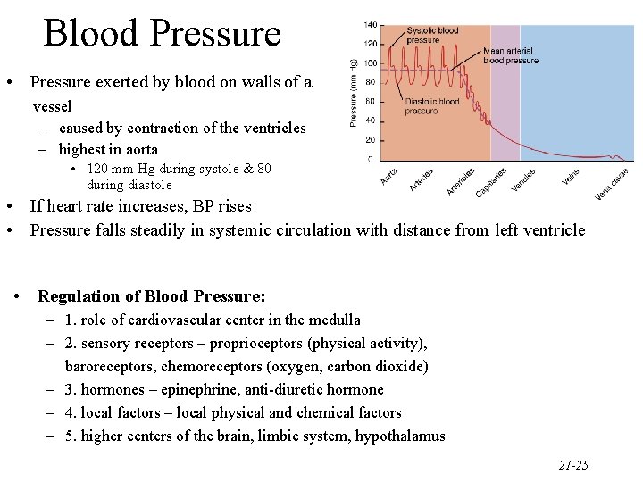 Blood Pressure • Pressure exerted by blood on walls of a vessel – caused