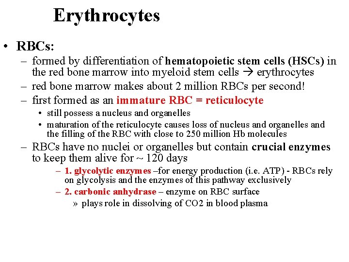 Erythrocytes • RBCs: – formed by differentiation of hematopoietic stem cells (HSCs) in the