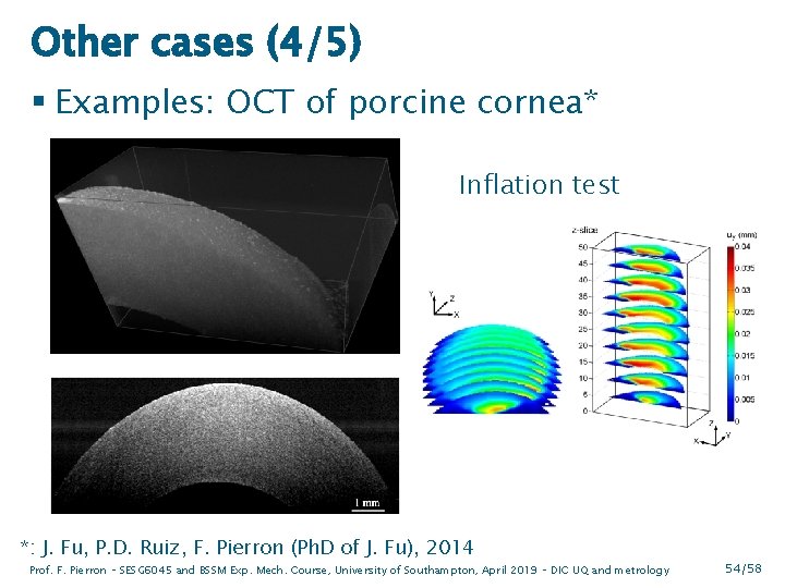 Other cases (4/5) § Examples: OCT of porcine cornea* Inflation test *: J. Fu,