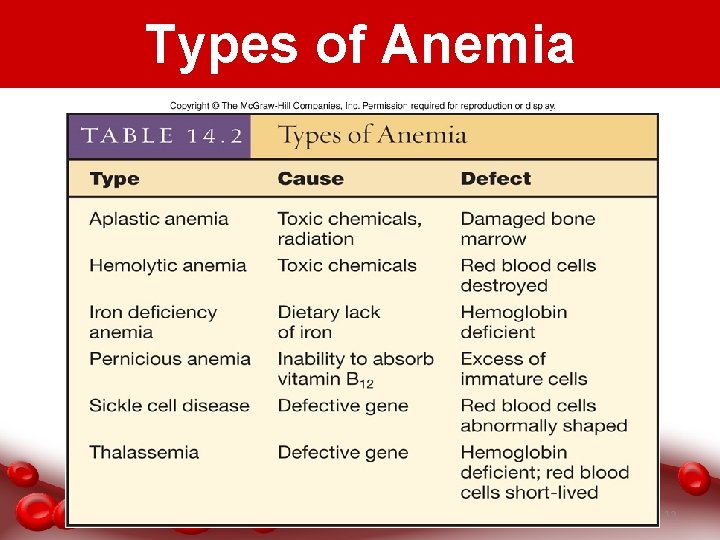 Types of Anemia 12 