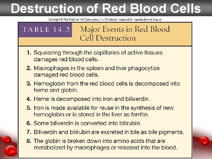 Destruction of Red Blood Cells 14 