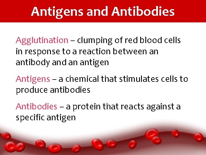 Antigens and Antibodies Agglutination – clumping of red blood cells in response to a