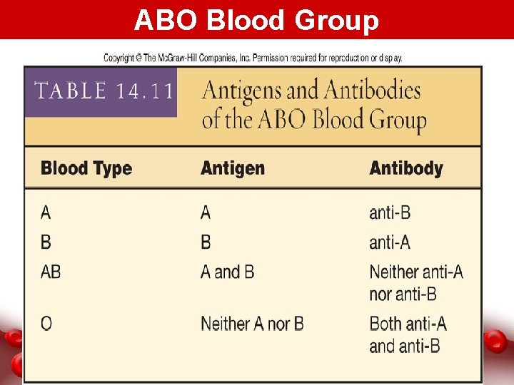 ABO Blood Group 19 