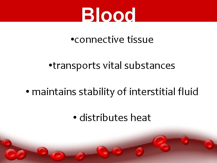 Blood • connective tissue • transports vital substances • maintains stability of interstitial fluid