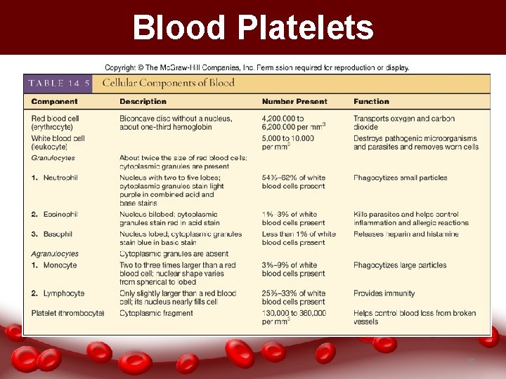 Blood Platelets 35 