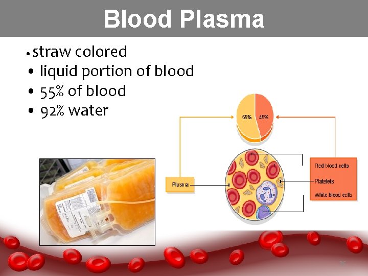 Blood Plasma straw colored • liquid portion of blood • 55% of blood •