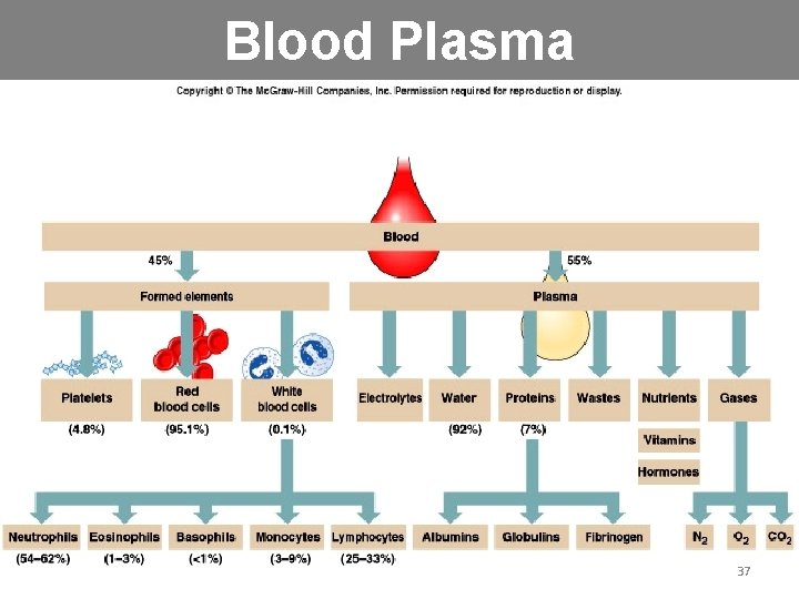Blood Plasma 37 