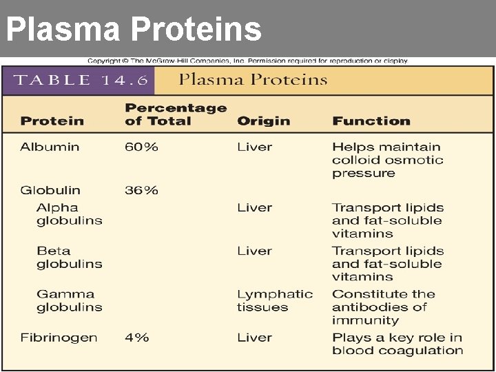 Plasma Proteins 38 