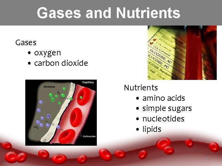 Gases and Nutrients Gases • oxygen • carbon dioxide Nutrients • amino acids •