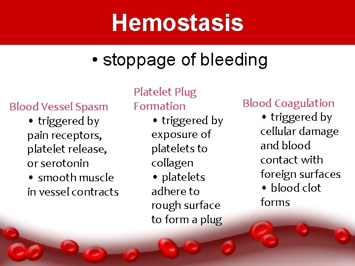 Hemostasis • stoppage of bleeding Blood Vessel Spasm • triggered by pain receptors, platelet