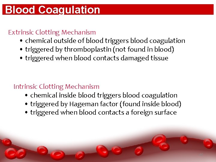 Blood Coagulation Extrinsic Clotting Mechanism • chemical outside of blood triggers blood coagulation •