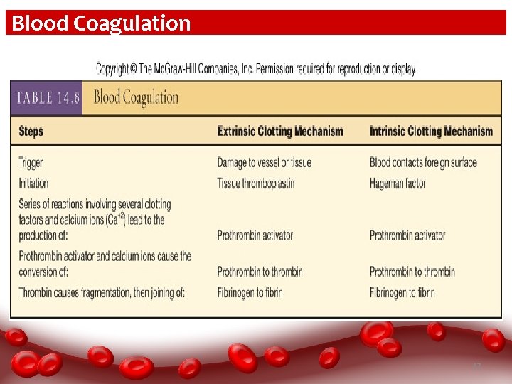 Blood Coagulation 47 