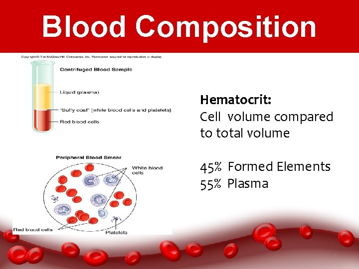 Blood Composition Hematocrit: Cell volume compared to total volume 45% Formed Elements 55% Plasma