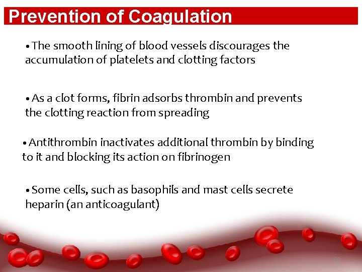 Prevention of Coagulation • The smooth lining of blood vessels discourages the accumulation of