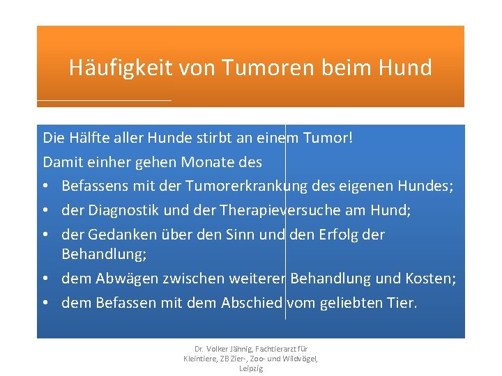 Häufigkeit von Tumoren beim Hund Die Hälfte aller Hunde stirbt an einem Tumor! Damit