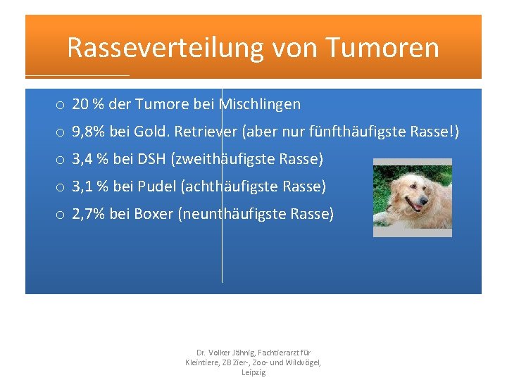 Rasseverteilung von Tumoren o 20 % der Tumore bei Mischlingen o 9, 8% bei