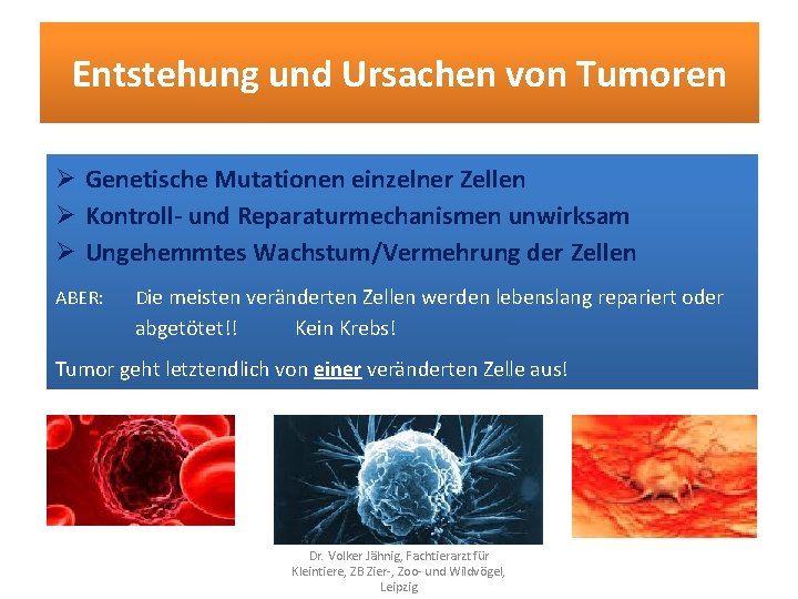 Entstehung und Ursachen von Tumoren Genetische Mutationen einzelner Zellen Kontroll- und Reparaturmechanismen unwirksam Ungehemmtes