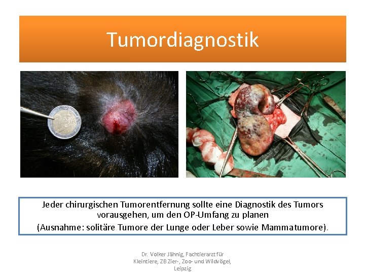 Tumordiagnostik Jeder chirurgischen Tumorentfernung sollte eine Diagnostik des Tumors vorausgehen, um den OP-Umfang zu