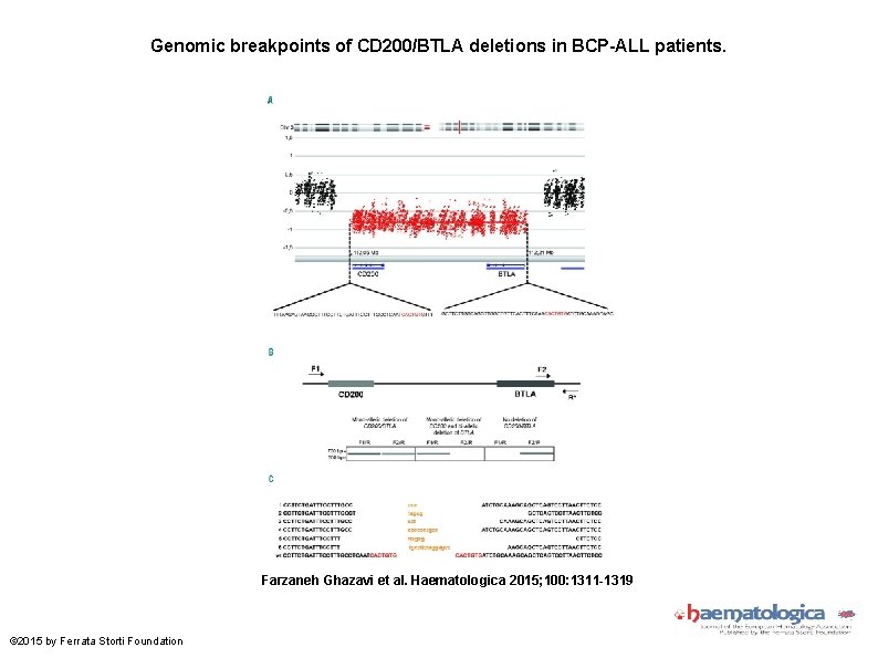 Genomic breakpoints of CD 200/BTLA deletions in BCP-ALL patients. Farzaneh Ghazavi et al. Haematologica