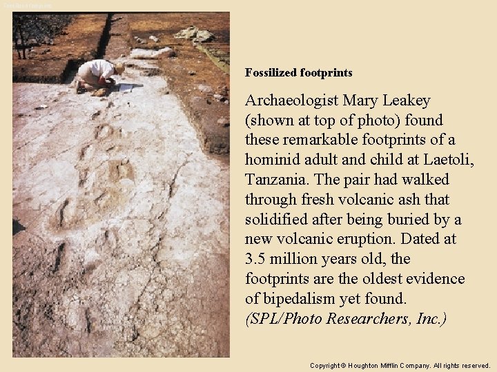 Fossilized footprints Archaeologist Mary Leakey (shown at top of photo) found these remarkable footprints