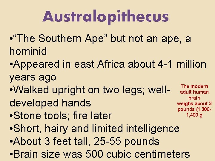 Australopithecus • “The Southern Ape” but not an ape, a hominid • Appeared in