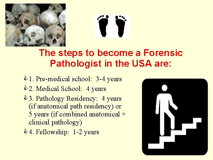 The steps to become a Forensic Pathologist in the USA are: 1. Pre-medical school: