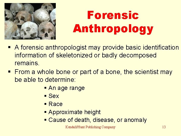 Forensic Anthropology A forensic anthropologist may provide basic identification information of skeletonized or badly