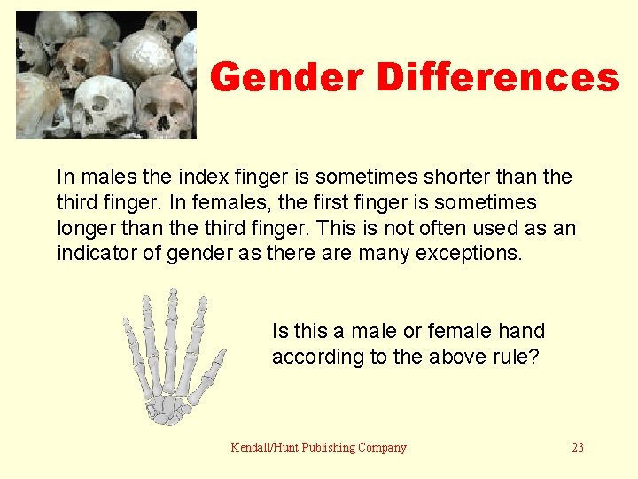 Gender Differences In males the index finger is sometimes shorter than the third finger.