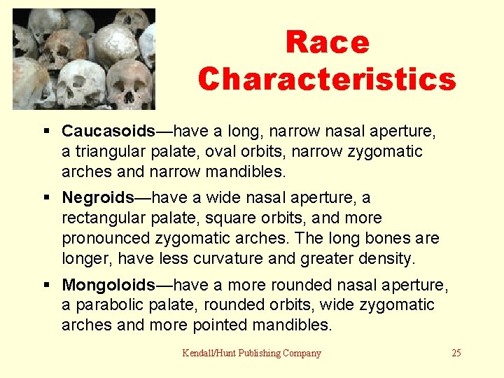 Race Characteristics Caucasoids—have a long, narrow nasal aperture, a triangular palate, oval orbits, narrow