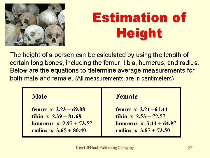 Estimation of Height The height of a person can be calculated by using the