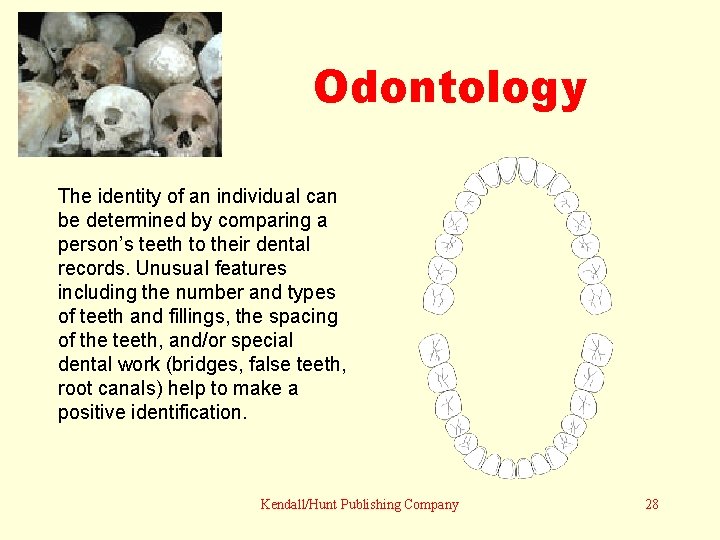 Odontology The identity of an individual can be determined by comparing a person’s teeth