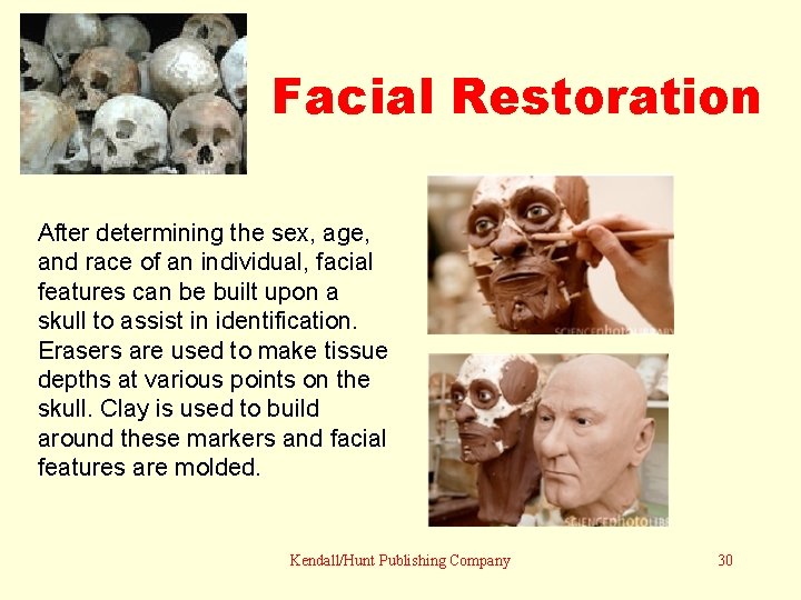 Facial Restoration After determining the sex, age, and race of an individual, facial features