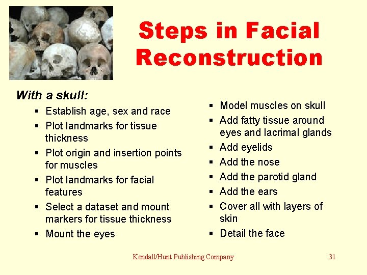 Steps in Facial Reconstruction With a skull: Establish age, sex and race Plot landmarks