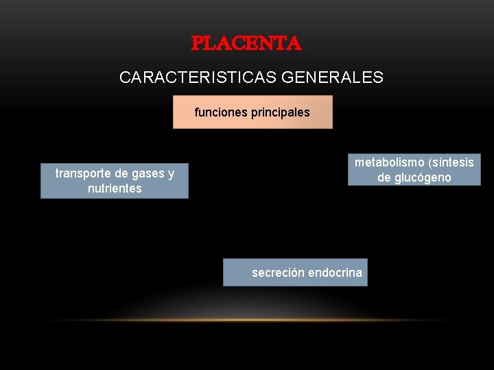PLACENTA CARACTERISTICAS GENERALES funciones principales transporte de gases y nutrientes metabolismo (síntesis de glucógeno