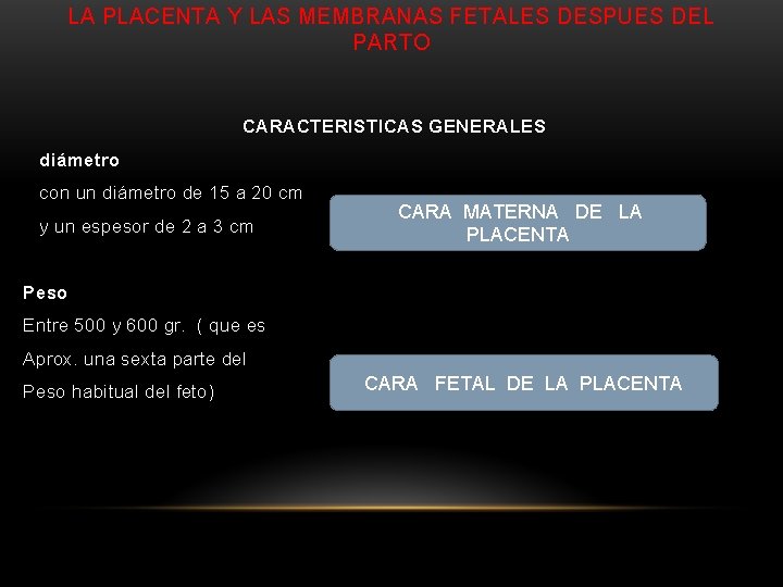 LA PLACENTA Y LAS MEMBRANAS FETALES DESPUES DEL PARTO CARACTERISTICAS GENERALES diámetro con un