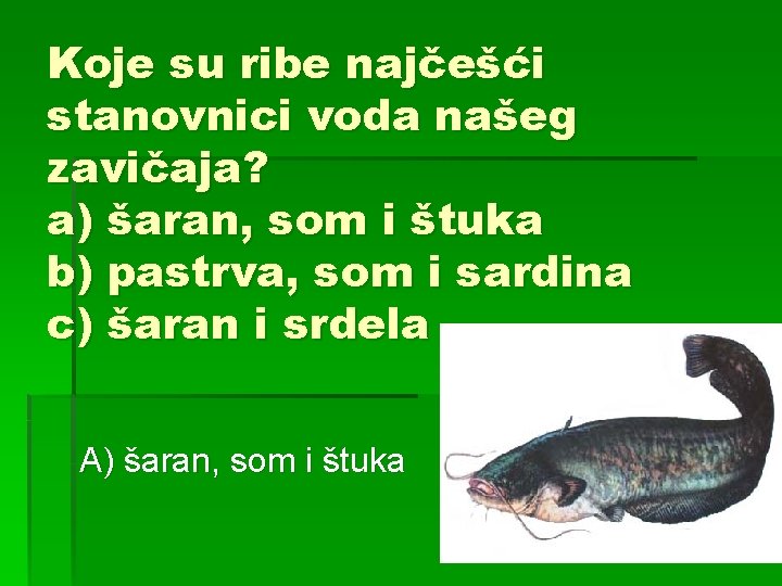 Koje su ribe najčešći stanovnici voda našeg zavičaja? a) šaran, som i štuka b)