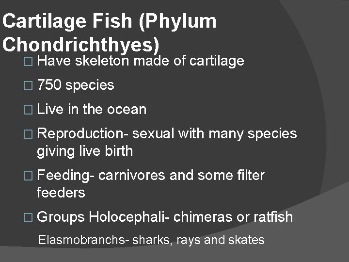 Cartilage Fish (Phylum Chondrichthyes) � Have skeleton made of cartilage � 750 species �