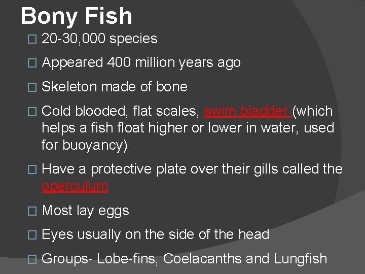 Bony Fish � 20 -30, 000 species � Appeared 400 million years ago �