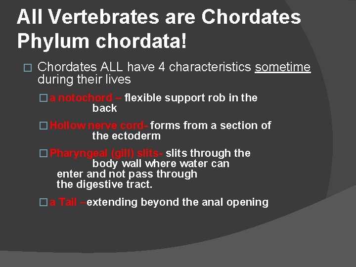 All Vertebrates are Chordates Phylum chordata! � Chordates ALL have 4 characteristics sometime during