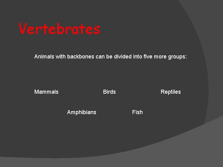 Vertebrates Animals with backbones can be divided into five more groups: Mammals Birds Amphibians