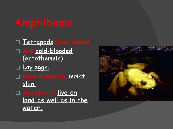 Amphibians � � � Tetrapods (four limbs) Are cold-blooded (ectothermic) Lay eggs. Have a