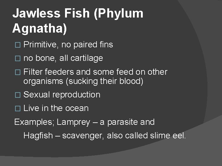Jawless Fish (Phylum Agnatha) � Primitive, no paired fins � no bone, all cartilage